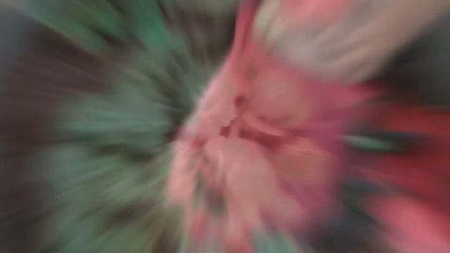 Strawberry Begonia Plant Care смотреть онлайн