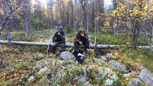 Тайга у Белого моря. Часть 2. Охота и рыбалка в Карелии.