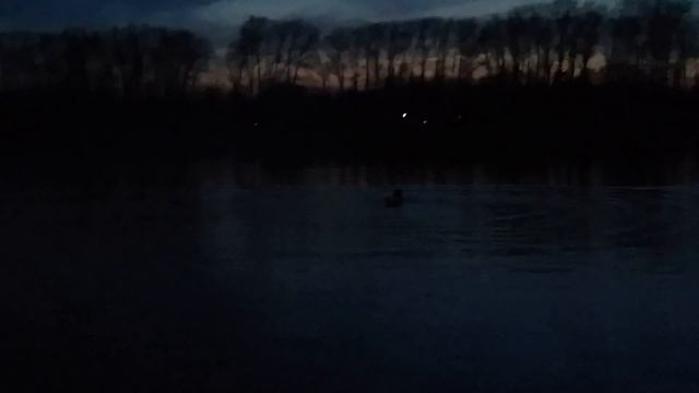 ночной заплыв МОРЖЕЙ СТОЛИЦЫ 300 м вода 6 градусов 14 04 2016 смотреть онлайн