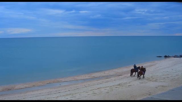 Лошади в Кирилловке.  Центральный пляж.  Азовское море