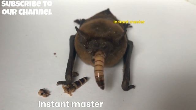 Learn Java смотреть онлайн