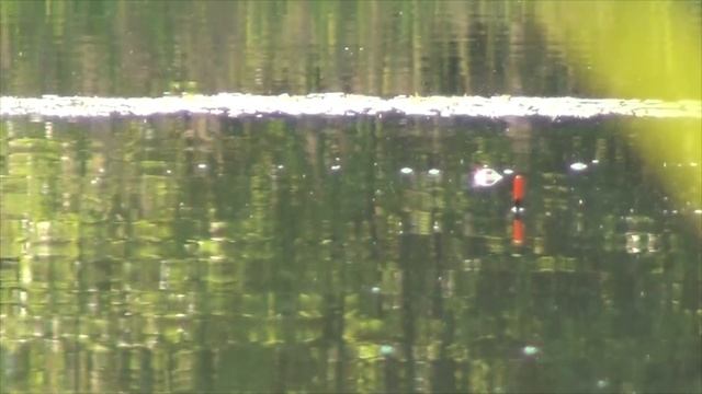 Просто это место с тростником мне не давало спать! Спец предложение для крупного карася! 34 серия смотреть онлайн