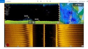 Как увидеть ХИЩНИКА | Настройки FishReveal | Разбираем НИЖНЕЕ сканирование LOWRANCE | Личный опыт