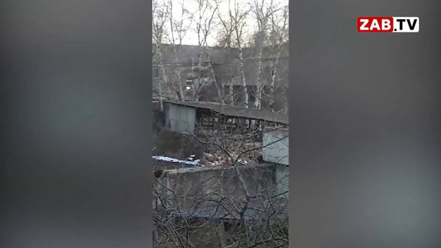 В Первомайском строительный мусор сбрасывают в пруд. смотреть онлайн