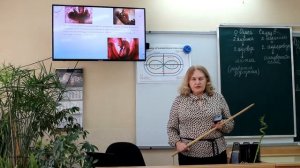 8 класс. Биология. Размножение и развитие млекопитающих