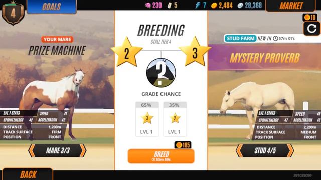 Rival Stars Tutorial Overview