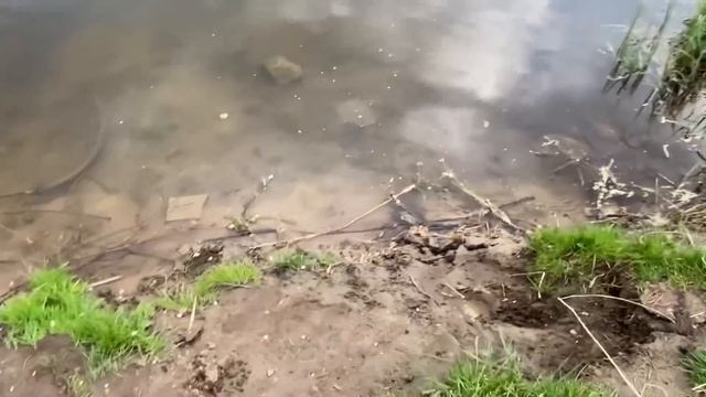 Вечер провела в красивом месте в хорошей компании ??Наша Алексеевская роща ❤️ смотреть онлайн