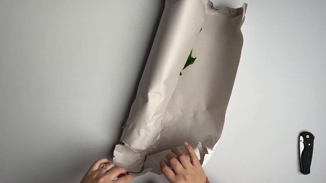 Steve's Leaves Unboxing - Syngonium Podophyllum Reverted Green Mix смотреть онлайн