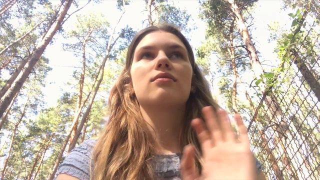 Учеба в Польше: ваши вопросы смотреть онлайн