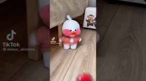 уточки Лала фанфан (видео не мои)