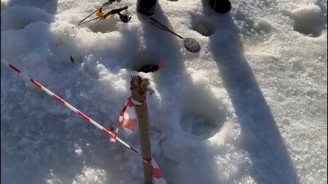 Рыбалка в Красногорске поимки смотреть онлайн