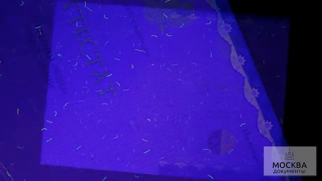 Интересные факты