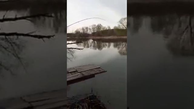 Рыбалка в подмосковье 2020 смотреть онлайн