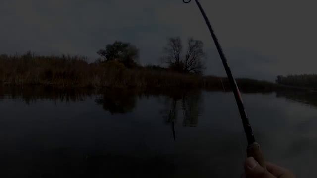 Осенняя рыбалка на окуня и щуку смотреть онлайн