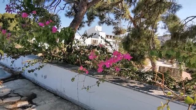 Vlog: Заброшенный отель Кемер, Рестораны, Покатушки на байке в горах, Фазелис, Турция 2021 смотреть онлайн