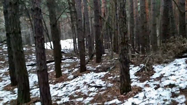 как появился перегарич... смотреть онлайн