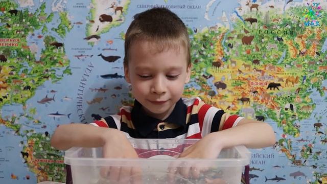 Лягушки. ОБУЧАЮЩЕЕ ВИДЕО ДЛЯ ДЕТЕЙ. Игрушечные животные и настоящие в дикой природе. смотреть онлайн