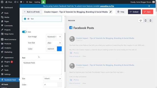 Add a Facebook Feed to WordPress (Post list - NOT A LIKEBOX!) смотреть онлайн
