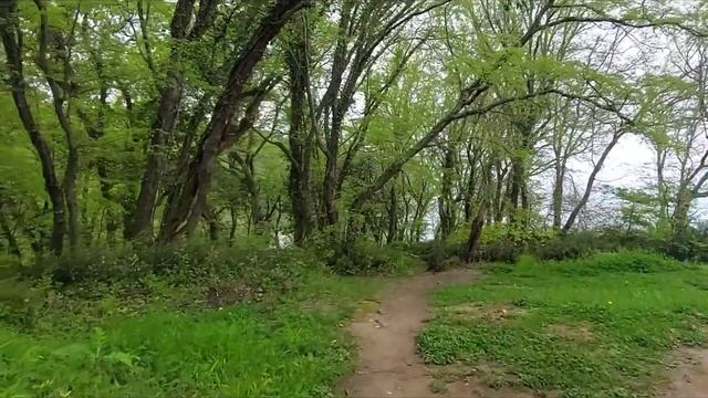 В поисках места для отдыха рядом с Туапсе, что ближе к Хадыженску. Подъезд к морю, палатки, кемпинг смотреть онлайн