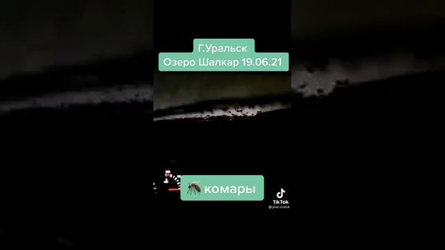 Комары в городе Уральск в машине озеро Шалкар смотреть онлайн