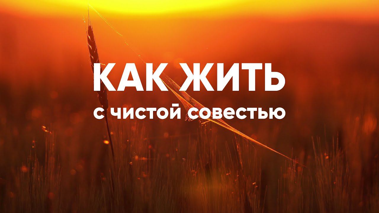 Как жить с чистой совестью смотреть онлайн