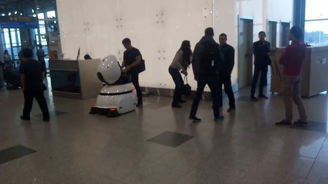 Кто работает аэропорт Домодедово. Скора без работа останется. Китайский. Машинка или робит смотреть онлайн
