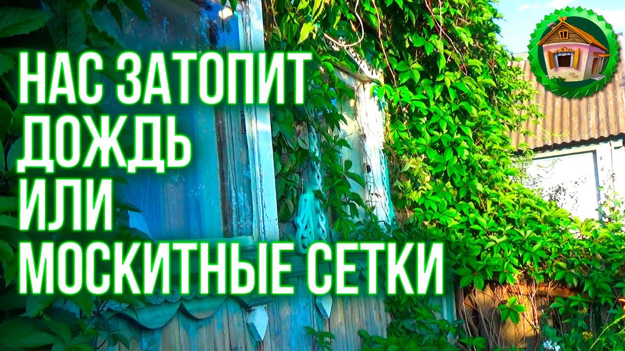 Нас затопит дождь. АнтиМоскитная сетка. Что Делать С Кориандром? 25 серия смотреть онлайн