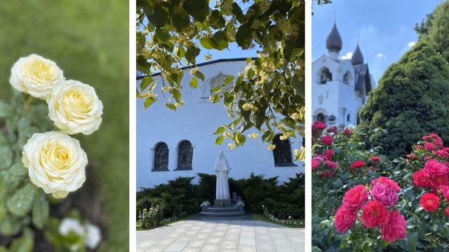 Сад Марфо-Мариинской обители смотреть онлайн