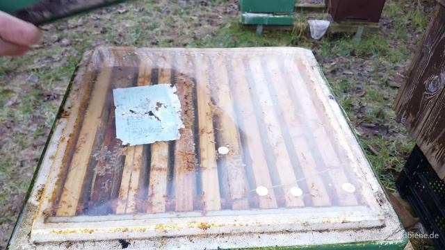 2018: welche Völker leben noch? 1. Kontrolle der Bienen смотреть онлайн