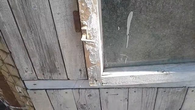 НОВЫЕ КРОЛИКИ КАЛИФОРНИЯ.ПОРОСЯТА.БАБОЧКИ.КОТ.ДЕРЕВЕНСКИЕ БУДНИ смотреть онлайн