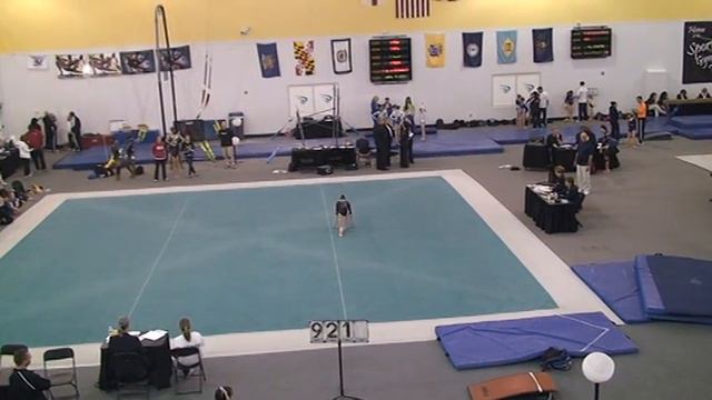 Megan Heiges, Level 9 Regional Meet 2011, Region 7, Floor смотреть онлайн