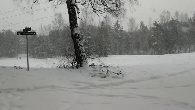 Lithuanian winter this year is amasing смотреть онлайн