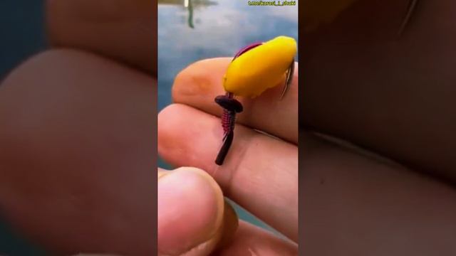 Как правильно насадить кукурузу на крючок. Лайфхак для рыбалки смотреть онлайн