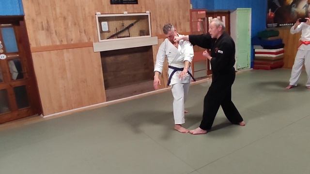 Heian Godan Bunkai-kumite Nr. 1 смотреть онлайн