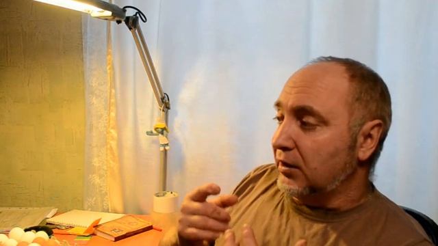 Особенности инкубации яиц бройлеров в инкубаторах серии блиц. смотреть онлайн