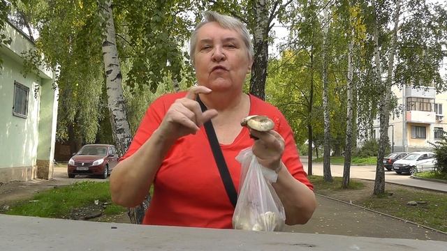 14.09.2014 Во дворе выросли шампиньоны 02709 смотреть онлайн