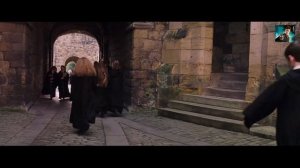 Гари потер и мандавошка. Гоблинский перевод. Часть 13