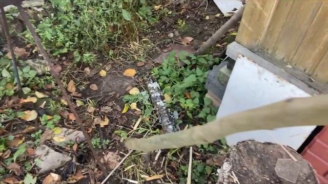 Форель горячего копчения от А до Я. смотреть онлайн