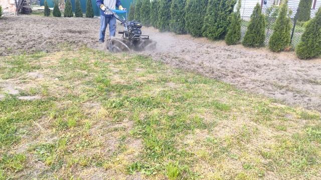 Подготовка газона для посева травы активными роторами мотоблока смотреть онлайн