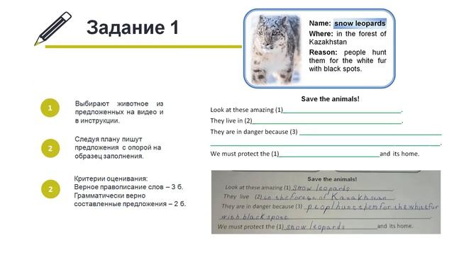 Шарифулина Л Р Панорамный урок по теме Endangered animals 4 класс смотреть онлайн