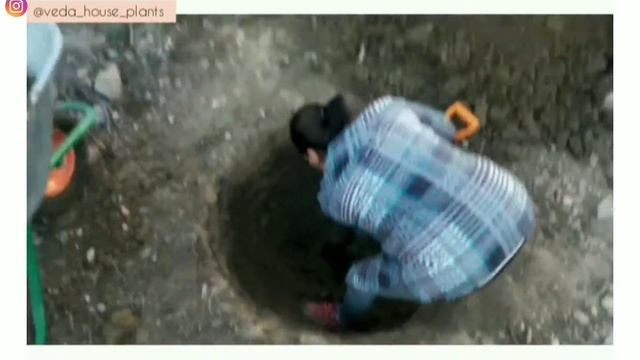 Грунт для Суккулентов - где и как я его добываю. смотреть онлайн