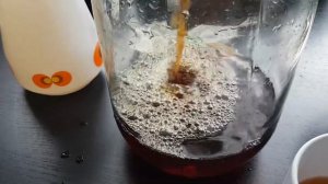 КАМБУЧА  -Чайный ГРИБ.ДОМАШНИЙ ДОКТОР.2020.223.