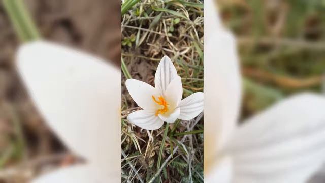 Весна в Запорожье смотреть онлайн