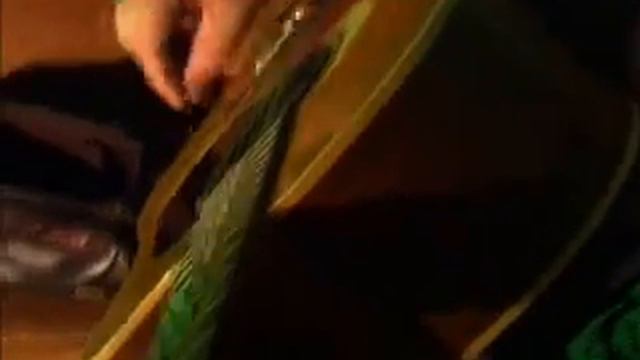 Hot Pussy (Cover) by David Allen Coe Sung by TINY смотреть онлайн