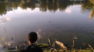 Карась на ПЕНОПЛАСТ!!! Ловля карася на СОСКУ Снасть СОСКА