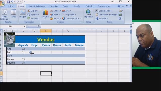 Aula de Excel Básico 05 - Como colocar ou inserir imagem, foto, clip art e formas no Excel смотреть онлайн