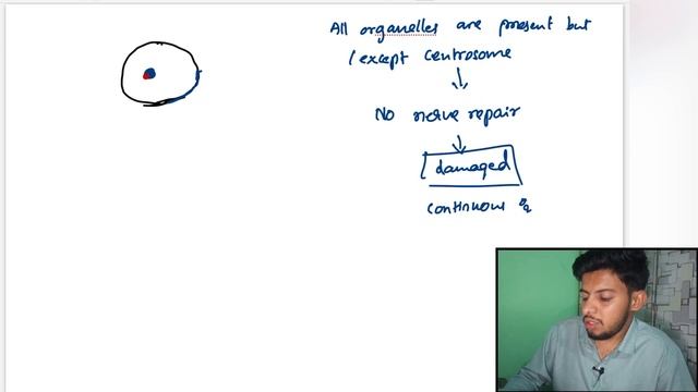 Introduction Of Nervous Systems | Part-1 - Full Guide in English Explaination смотреть онлайн