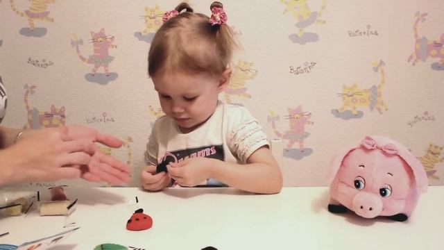 Мастер класс по лепке божьей коровки из теста пластилина Genio Kids