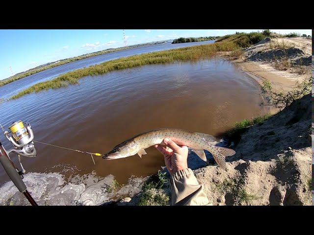 Рыбалка на щуку. Рыбалка на спиннинг. смотреть онлайн