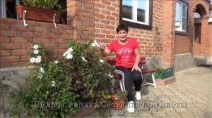 Группы обрезки клематисов   Теперь вы сможете определить это без труда